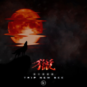 梁朝伟汤唯国外版
